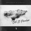 Romashkin & Carduus - Call It Freedom - Single